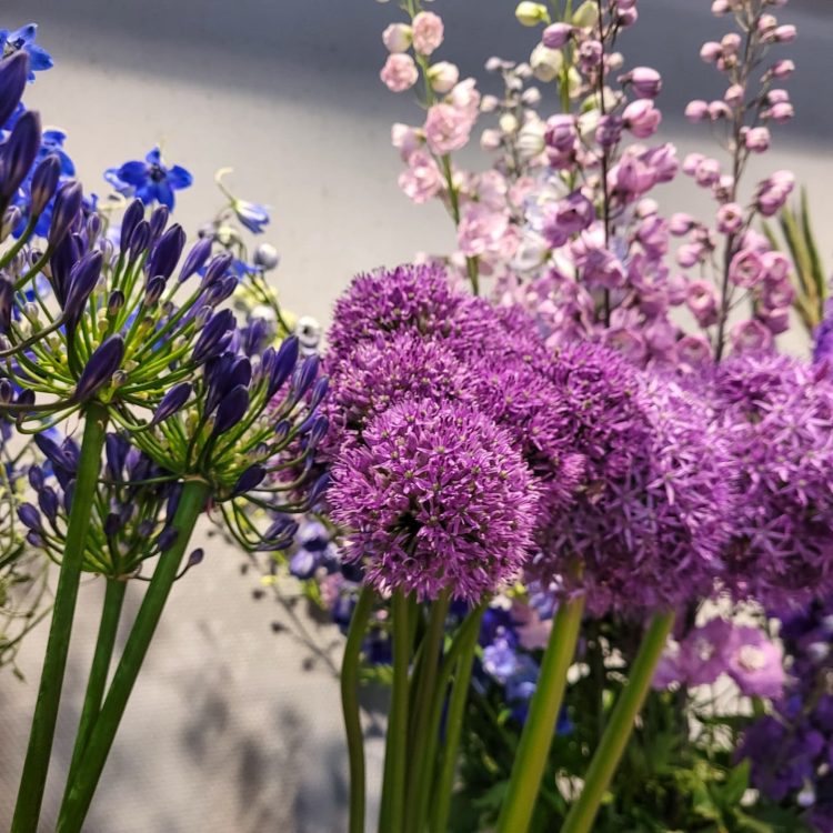 ZOMERBLOEMEN —